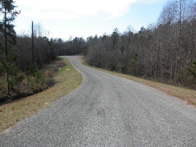 2nd image of 131 Courtney Ln