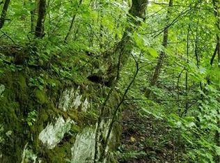 41 04 Ac Off Martins Creek Rd, Barnardsville, NC 28709