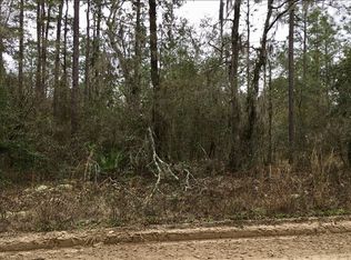 NE Timber River Loop, Lee, FL 32059