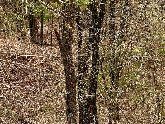 4th image of County Road 106