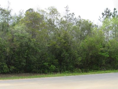 Lots 22 23 Trout Dr, Defuniak Springs, FL, 32433