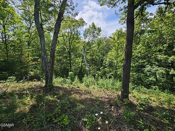3rd image of 67910 Pleasure Rd Lot 8