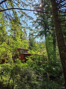 29500 Timberline Road, Willits, CA, 95490