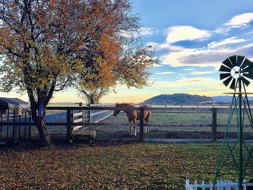 Pastures