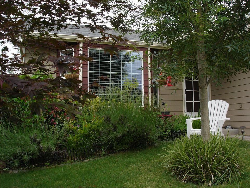 Front yard spring through summer