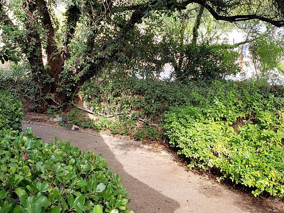 ParkLike Oasis Backyard