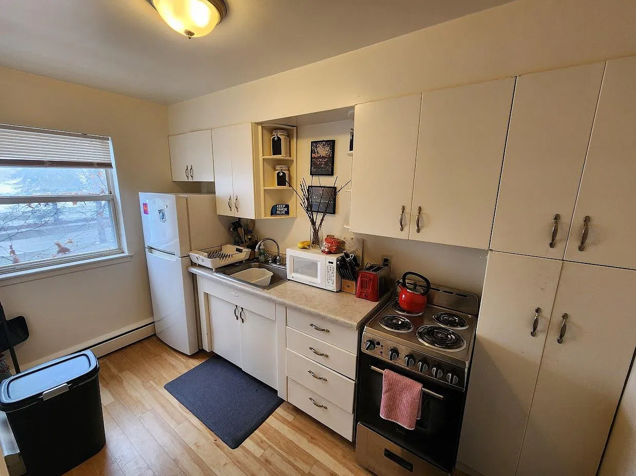 1 bed, $1,150 — Photo 2