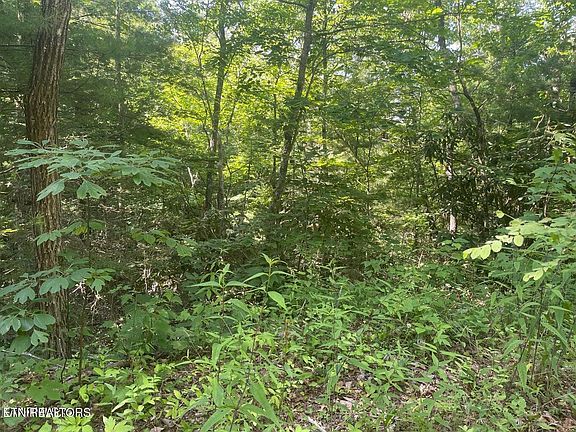 3rd image of 89 Sycamore Dr Lot 89