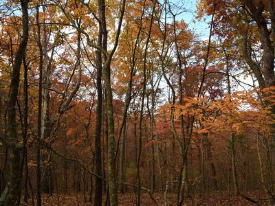 LOT 41 Mustang Dr, Clinton, AR, 72031