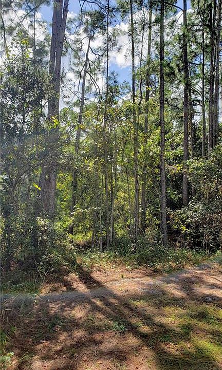 2nd image of Buckhorn Rd