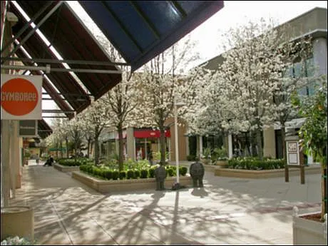 Close to Stanford Shopping Center