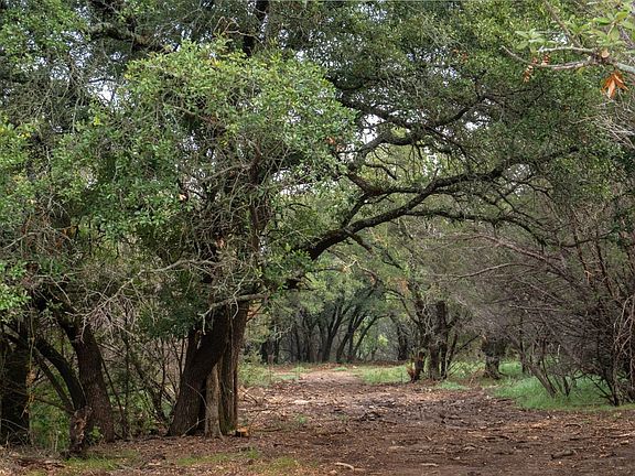 Tract 7 - Shiloh Vista Ranch | Tolar, Texas