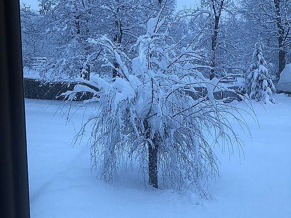 Winter’s beauty 