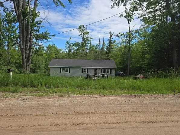 2714 Birch Dr, Wolverine, MI 49799