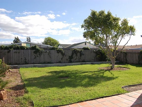 Back Yard