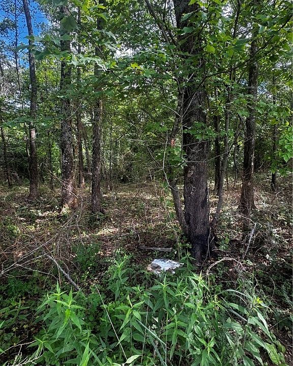 2nd image of TRACT 2 E 1070th Rd
