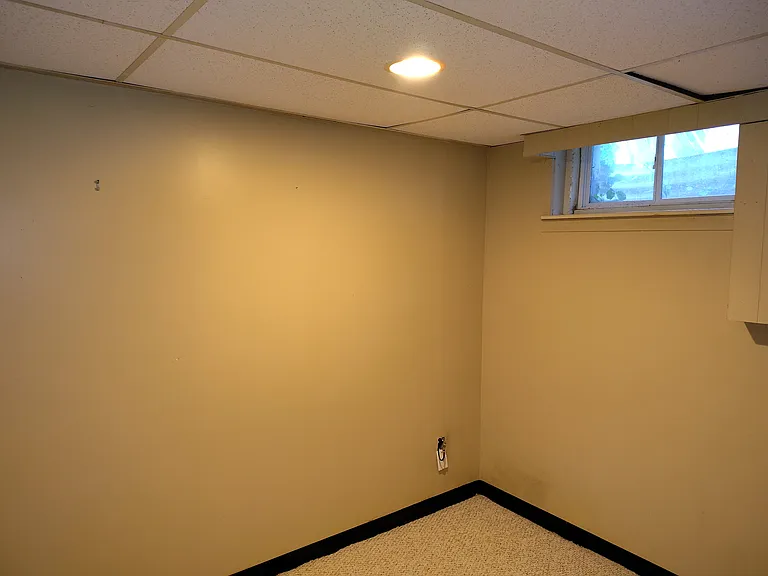 Front basement room with walk-in closet.
