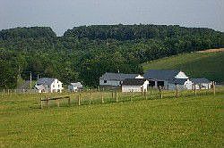 Beautiful Horse Farm