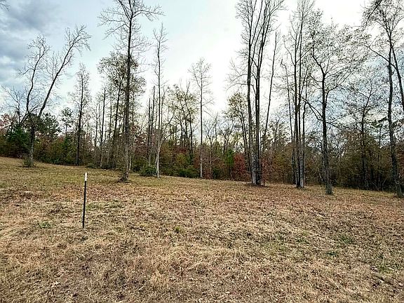 2nd image of LOT 63 Marble Way