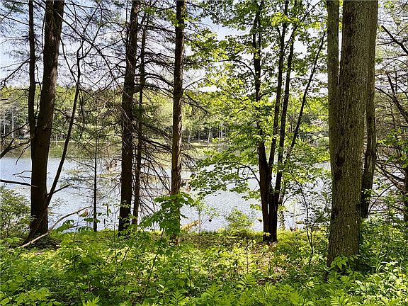 5th image of 0 Maples Rd Lot 16