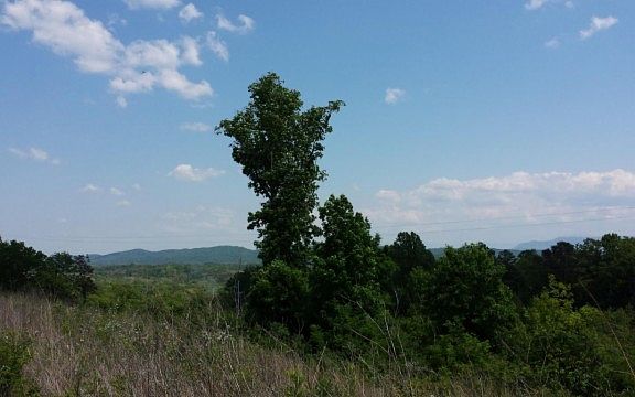 4th image of 7008 Sevierville Pike