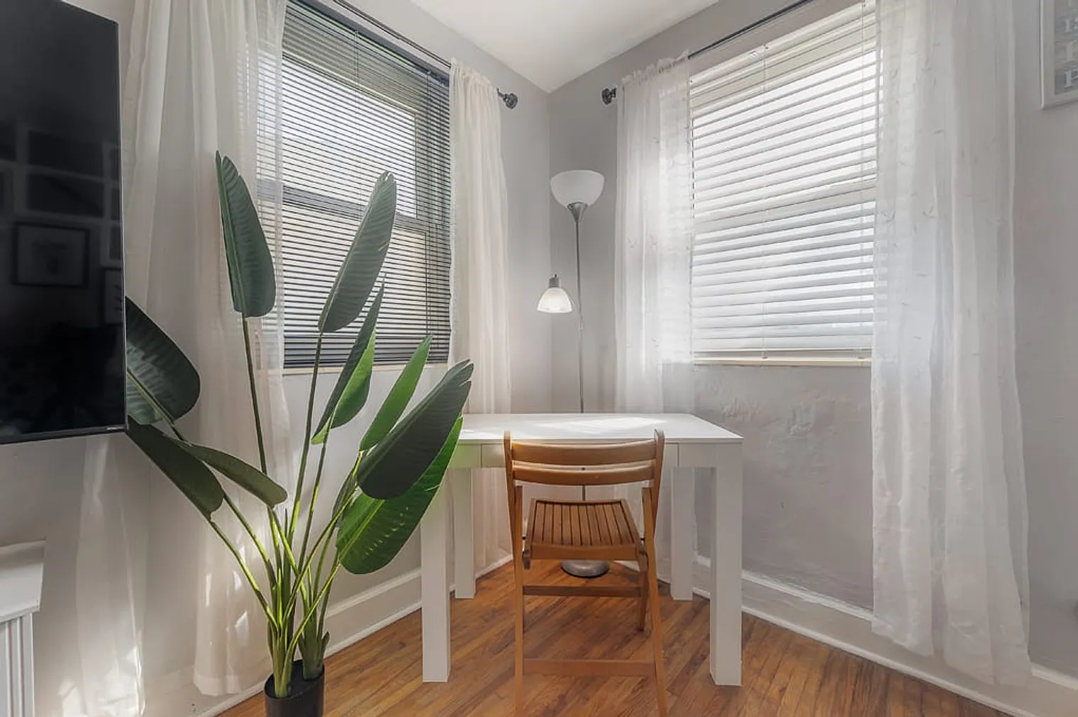 2 bed, 1.0 bath, $3,615 — Photo 3