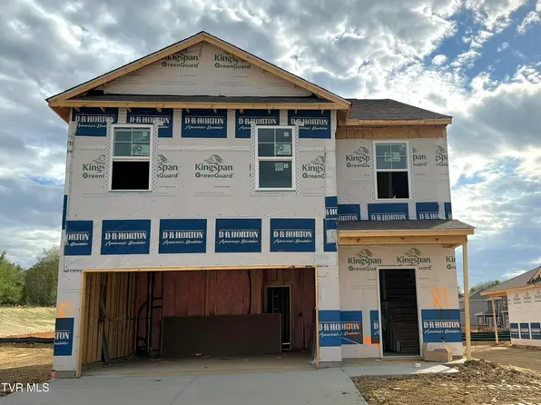 58 Ollie St, Johnson City, TN 37615