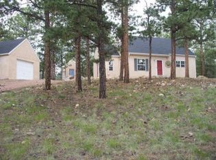 5027 County Road 318, Westcliffe, CO 81252