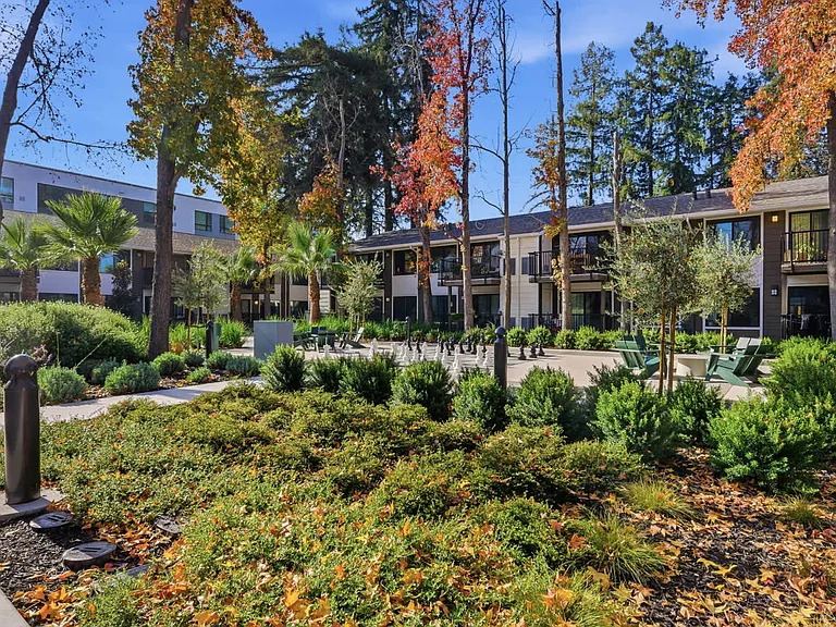 Courtyard Area