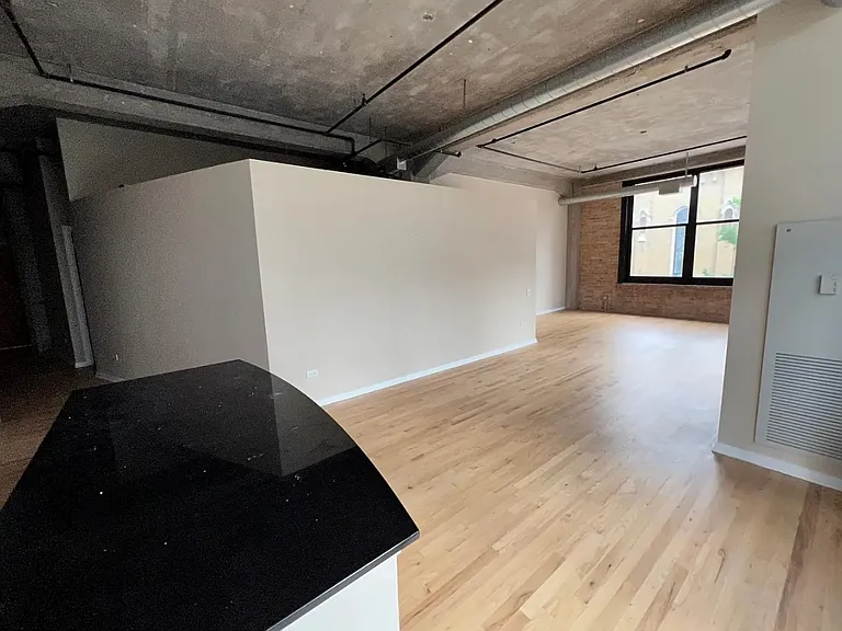 210 S Desplaines St #207 — Photo 5