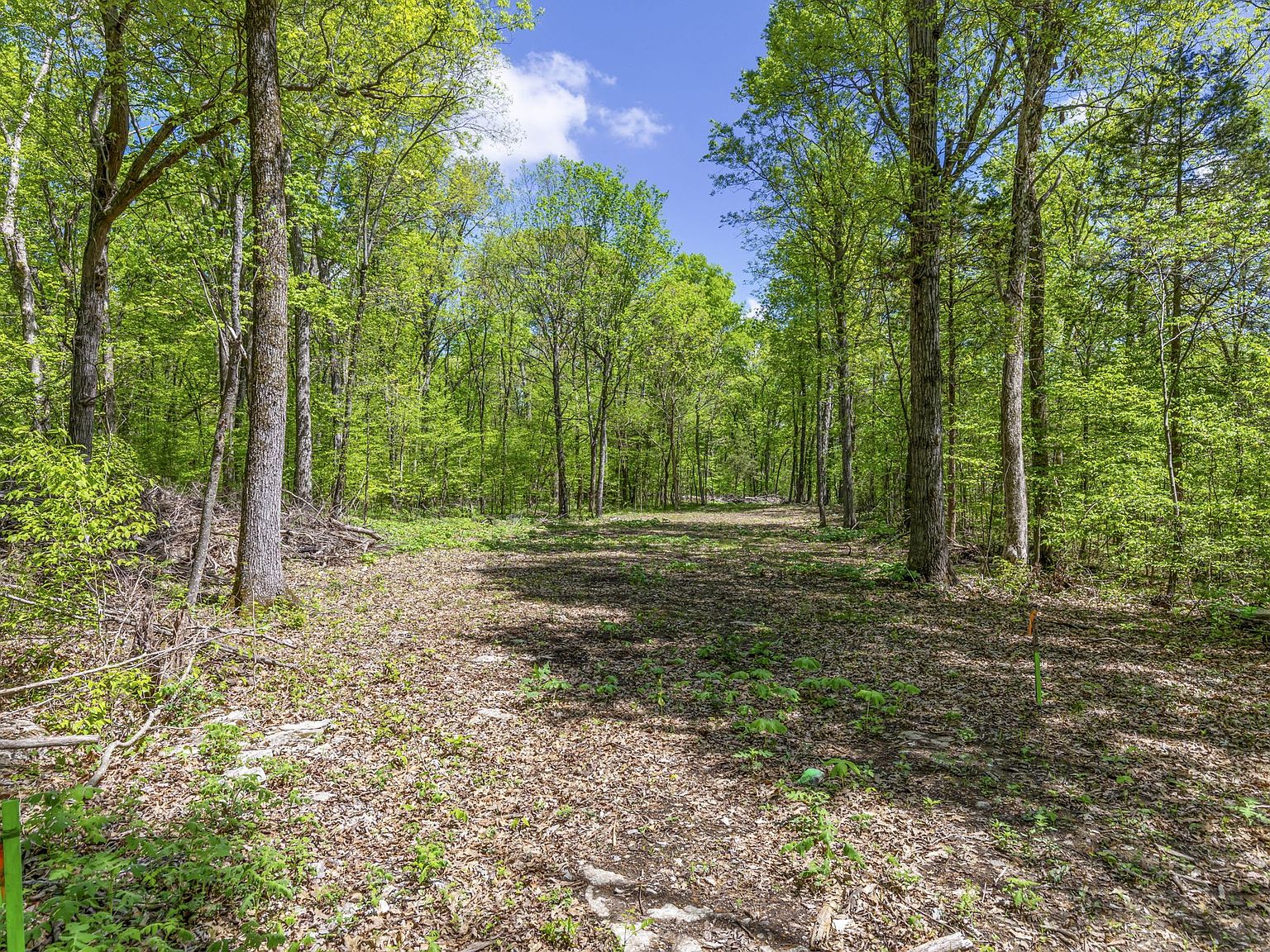 9346 Christiana Fosterville Rd, Christiana, TN 37037 MLS 2645792