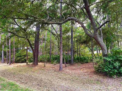 1001 McIntosh Pl LOT 75, Dauphin Island, AL, 36528
