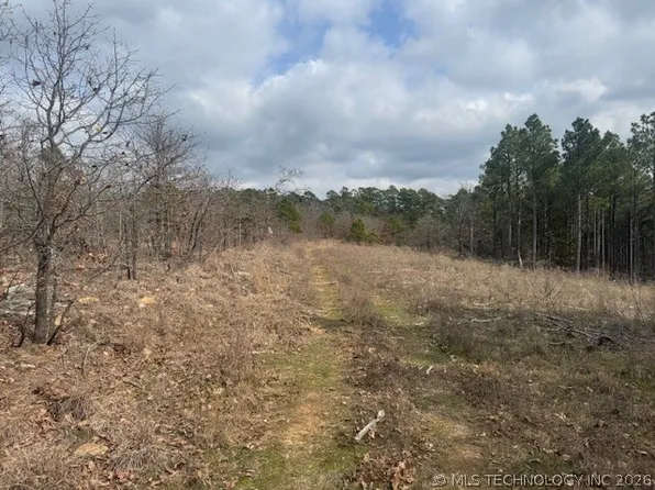 E 1732nd Rd, Clayton, OK 74536