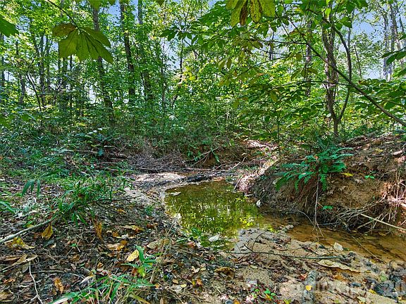 3rd image of 0 Narrow Bridge Rd #1