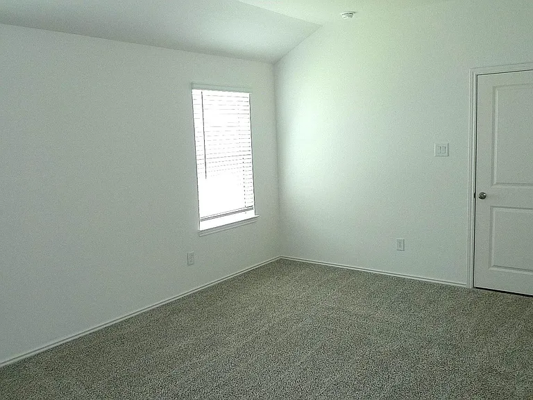 3063 Liams Tower Ln — Photo 11