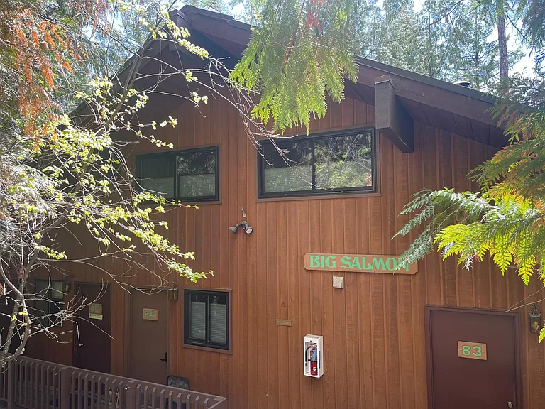 84 Limber Pne — Photo 16