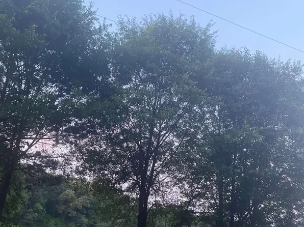 0 Williams McCurley Rd, Colbert, GA 30628