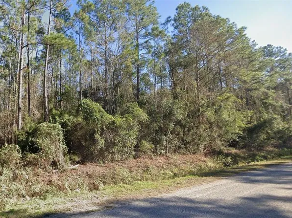 4375 Nancy St, Hastings, FL 32145