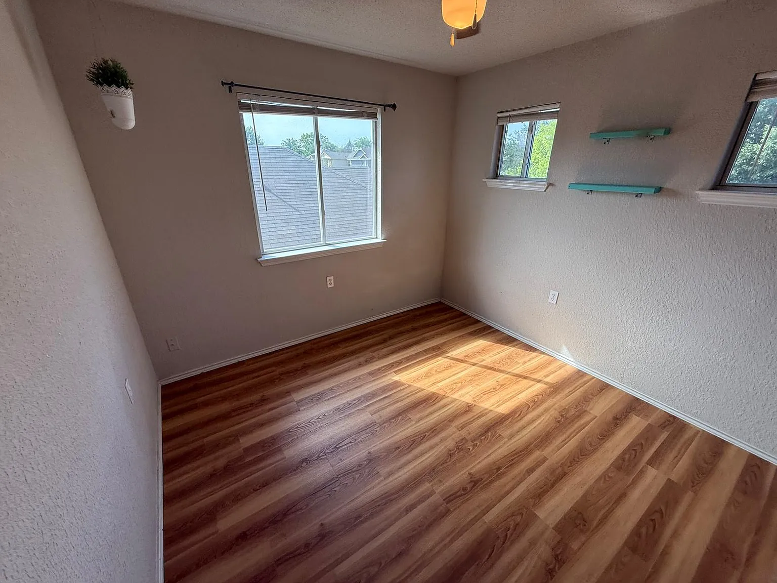 1 bed, $499 — Photo 4