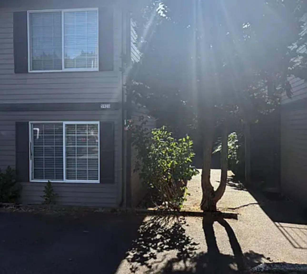 1 bed, 600 sqft, $1,295 — Photo 1