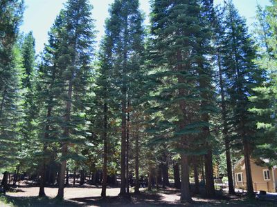 304 Manzanita Dr #4, Chester, CA, 96020