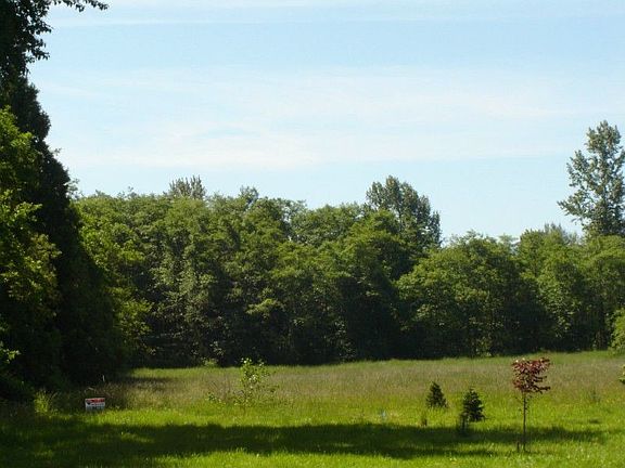 Open Field Partly Treed