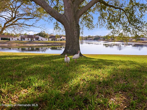 5th image of 7406 Heather Walk Dr