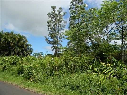 3rd image of Lehua Dr Lot 55