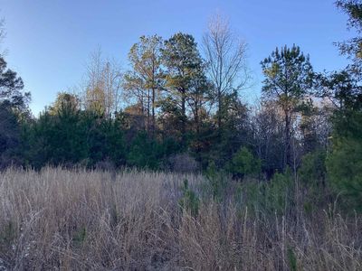 20 McIntyre Rd, Andalusia, AL, 36420