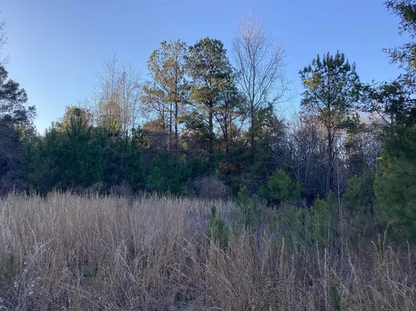 20 McIntyre Rd, Andalusia, AL 36420