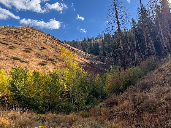 18th image of 270 Greenhorn Gulch Rd