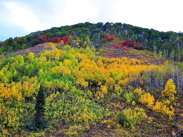 Middle Fork Pine Canyon Rd, Huntsville, UT 84317