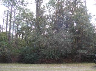 107 SE 3rd St, Georgetown, FL 32139