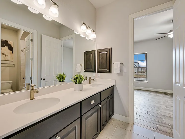 Downstairs Jack & Jill Bathroom